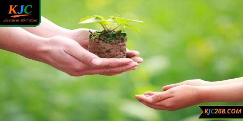 Thiện nguyện TP HCM hành trình nhân văn, nơi những trái tim đồng điệu